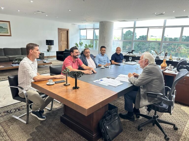 Comitiva rondonense se reúne com governador em exercício Darci Piana