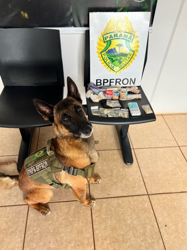 BPFron prende homem por tráfico de drogas em Marechal Rondon