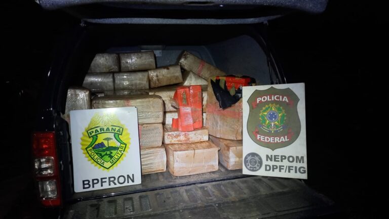 BPFron e PF aprendem 831 quilos de maconha em Santa Helena