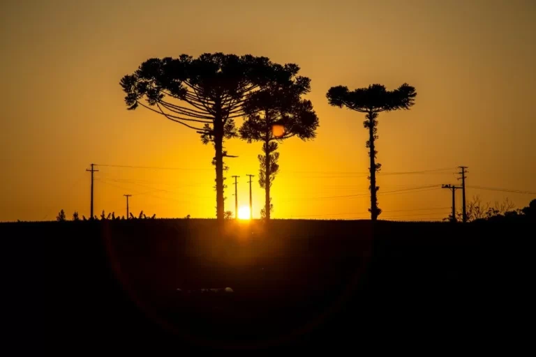 Primeiro episódio de calor extremo de verão de 40ºC já tem data para chegar