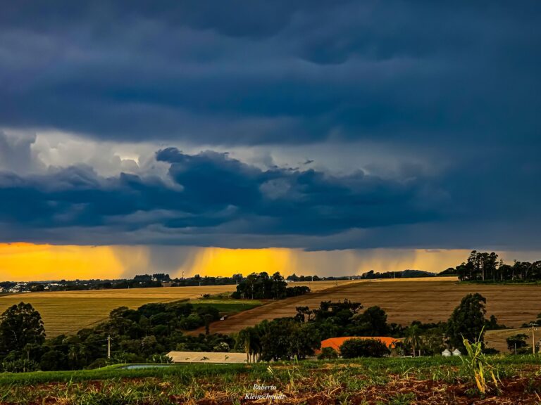 Propósitos e significados