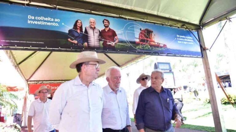 Paraná terá programa para valorização da política de crédito de carbono