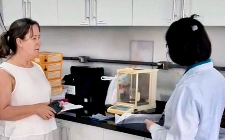 Sustentec desenvolve bebida solúvel tendo o extrato da erva-mate como composto principal