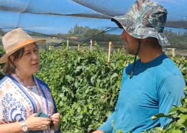 Representante do MDA conhece projeto e diz ser parceira na expansão pelo Paraná