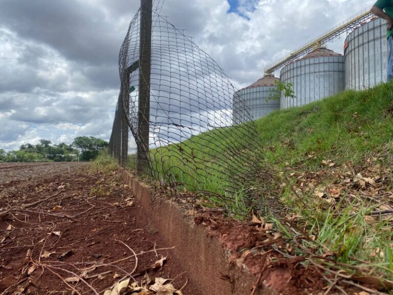 Cinco ladrões invadem empresa agrícola e praticam furto em Mercedes