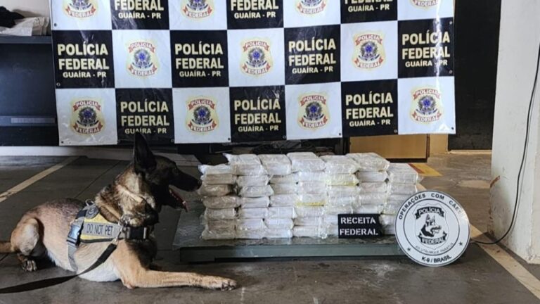 50 quilos de cocaína são apreendidos na Ponte Ayrton Senna