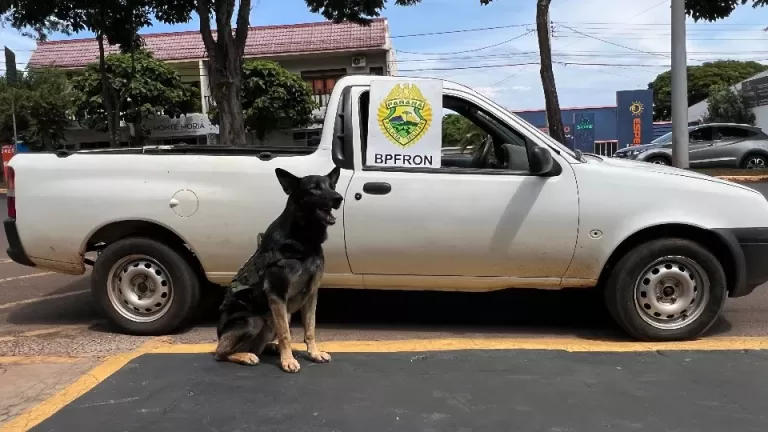 BPFron prende dois homens por embriaguez ao volante e roubo em Marechal Rondon