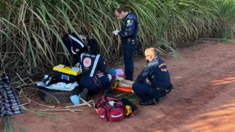 Menina de 13 anos morre após capotamento na BR-317