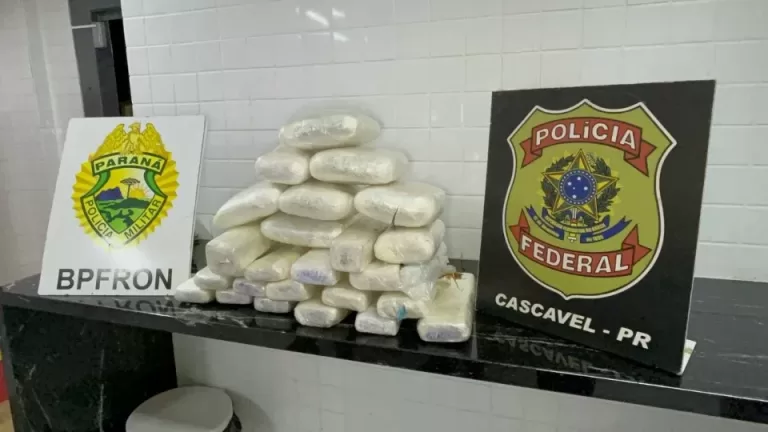 Mulher é flagrada com quase 19 quilos de droga em ônibus na BR-277