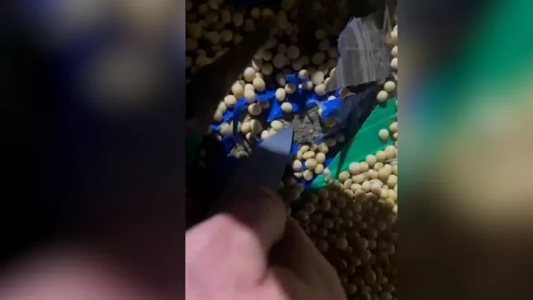 Carreta carregada com maconha é apreendida pelo BPFron e Polícia Federal