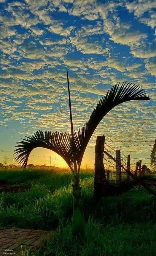 Observe o tempo, observe a vida