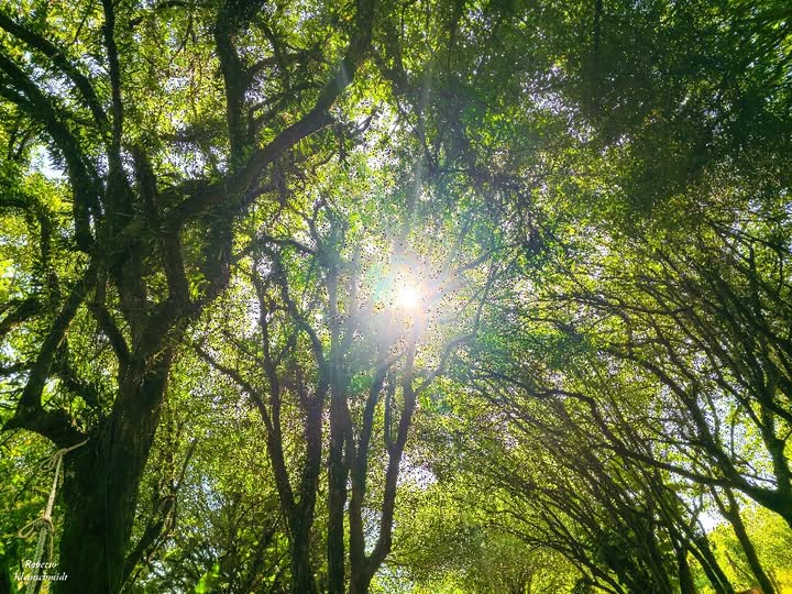 Luz: veja luz, seja luz