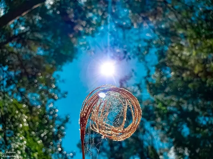 Iluminação interior