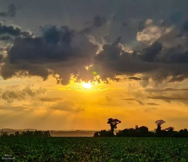 Um presente a cada dia