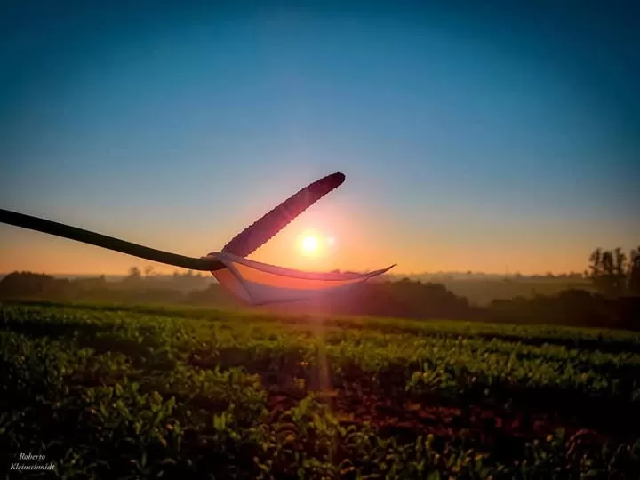 Toques, detalhes, instantes