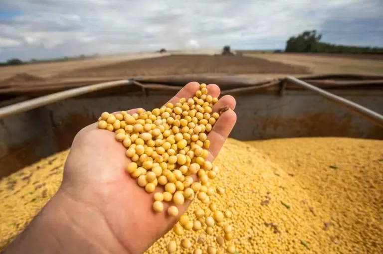 Guerra tarifária impulsiona soja e mercado dispara; leia a análise