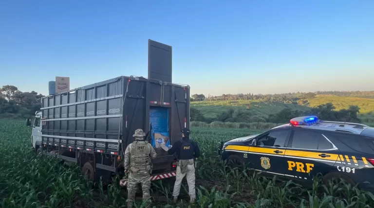 Contrabandista ouve sirene, não para e joga caminhão em plantação; veja vídeo