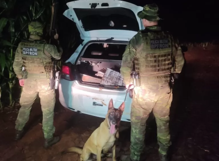 Perseguição policial na BR-163 termina com apreensão de 130 quilos de maconha