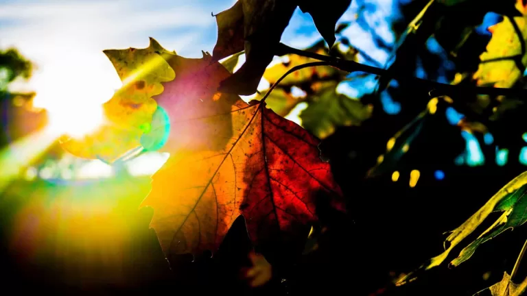 Como será o clima no outono de 2025?