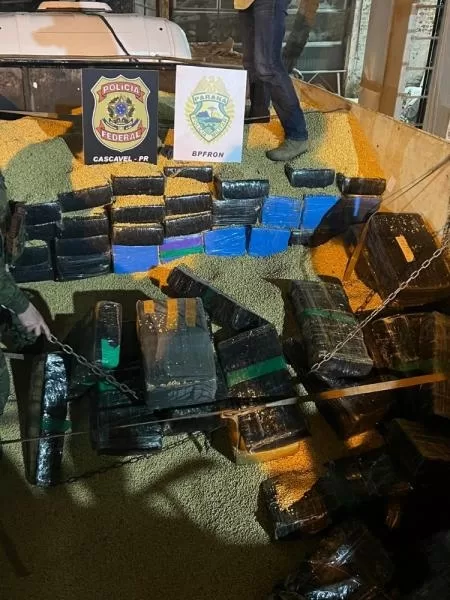 BPFron e Polícia Federal apreendem 2,3 toneladas de maconha na BR-163