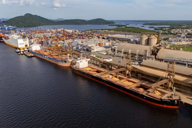 Portos paranaenses registram recordes históricos em fevereiro e no 1º bimestre de 2025