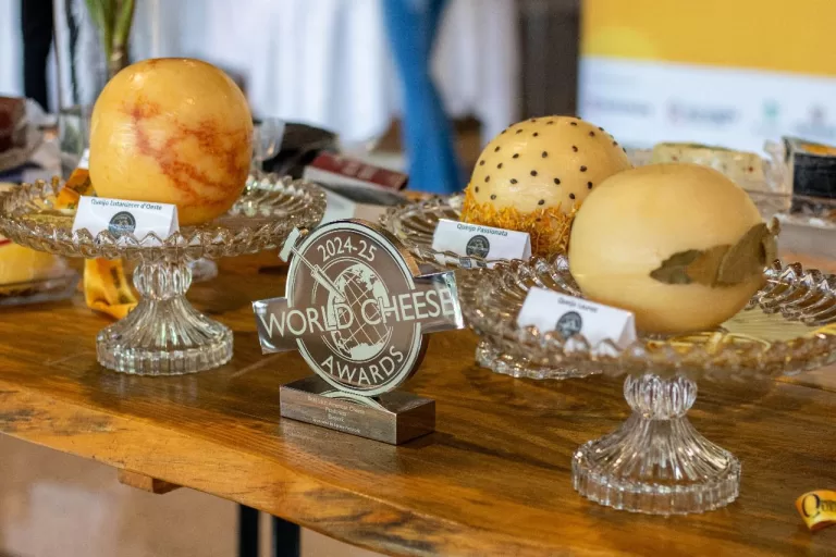 Conecta Queijo fortalece o setor em Toledo e impulsiona produção regional