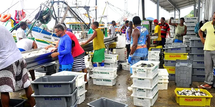 Governo ameaça destruir cadeia produtiva de pescados no Brasil