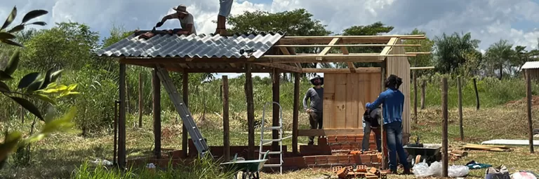 Após pedido do Sistema Faep, Adapar e Seab também manifestam preocupação com galinheiros comunitários