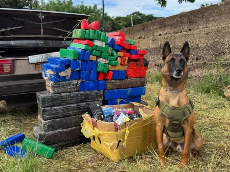 Trio é detido na prainha de Porto Mendes com 180 quilos de maconha e cigarros eletrônicos