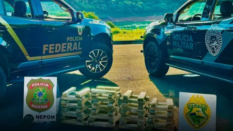 Policiais apreendem 38 quilos de maconha às margens do rio Paraná em Foz do Iguaçu