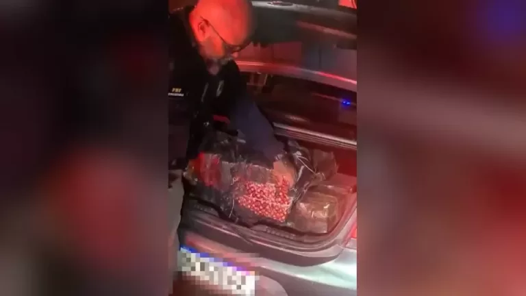 PRF apreende mais de 250 quilos de maconha após perseguição na BR-277