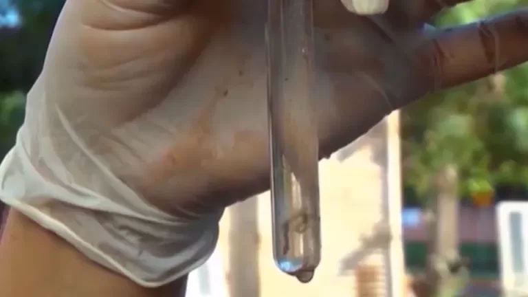 Toledo confirma primeira morte por dengue em 2025