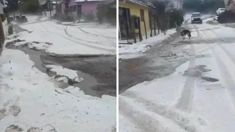 Granizo forma camada de gelo impressionante na Serra Catarinense e causa destruição