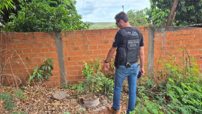 Jovem é preso por cultivar pés de maconha no quintal de casa no Oeste do Paraná