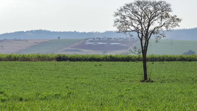 Com nova metodologia, Deral apresenta preços de terras de 2025