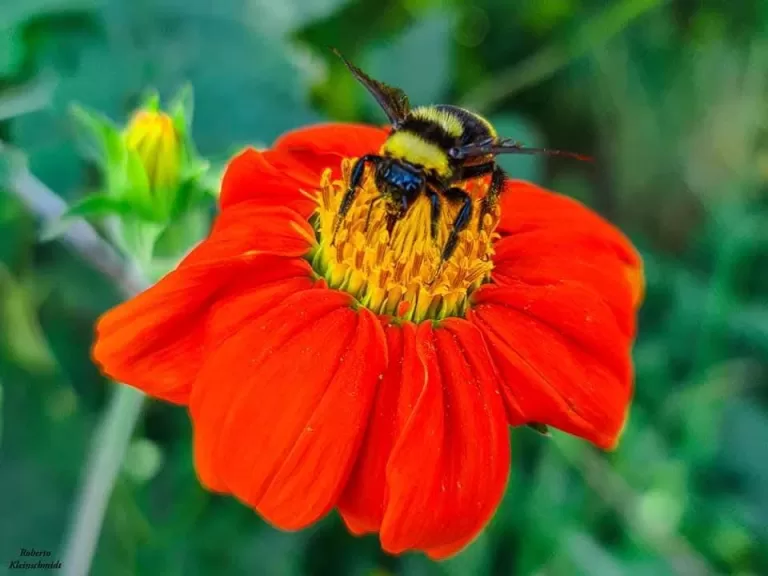 Se hoje fosse a sua última chance de viver, o que faria?