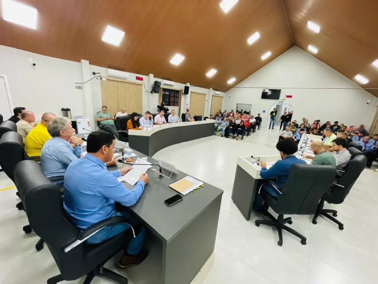 Vereadores aprovam em 1º turno projetos da reforma administrativa do governo rondonense