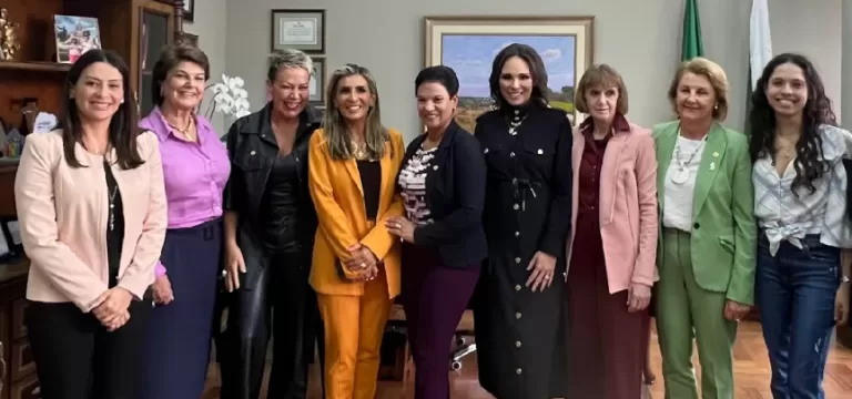 Bancada Feminina solicita ao Senado medidas para fortalecer a participação das mulheres na política