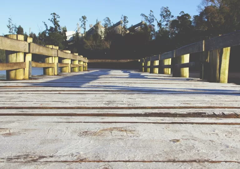 Após geada e recorde de frio com -7,8ºC, Paraná terá virada no tempo; veja previsão