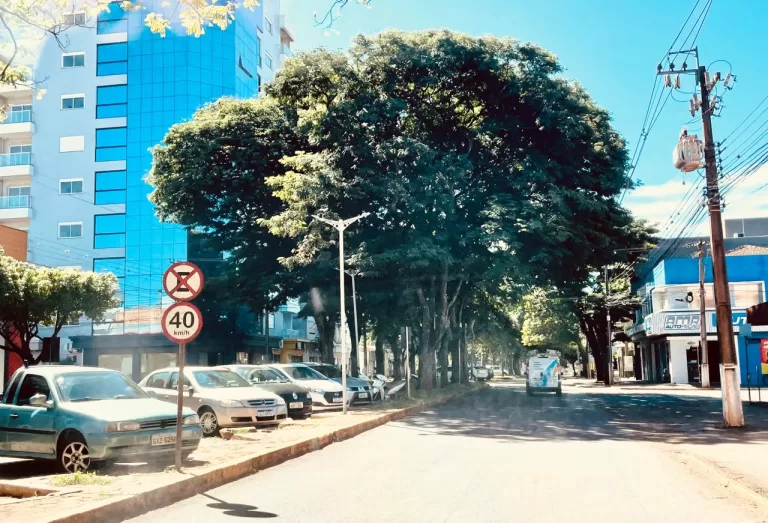 Vereadores solicitam ao Executivo apresentação do projeto de revitalização da Avenida Maripá