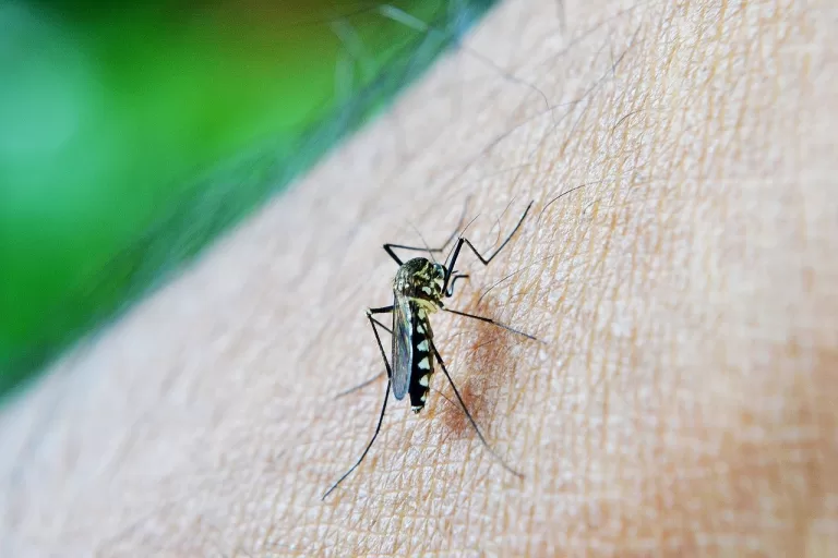 Itaipu e Itaipu Parquetec encerram campanha educativa de combate ao Aedes aegypti em Francisco Beltrão