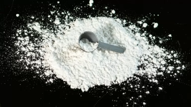 Creatina: Anvisa analisa 41 marcas e apenas uma é aprovada em todos os critérios