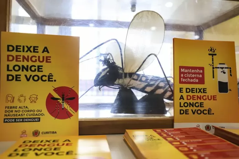 Novo boletim confirma mais 5 mil casos e seis mortes por dengue no Paraná