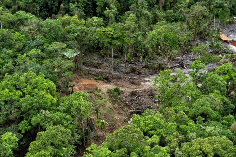 IAT aplicou R$ 1,8 milhão em multas ambientais na temporada 24/25