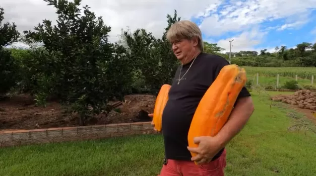 Produtor do Oeste do Paraná colhe “mamão gigante” de quase 10 quilos