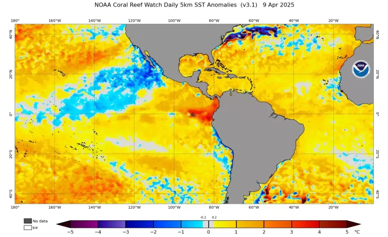 NOAA declara fim da La Niña e abre debate sobre futuras previsões