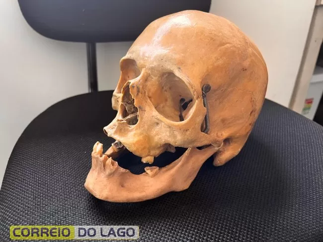 Crânio humano é encontrado em armário de ex-coletor da Associação dos Agentes Ambientais de Santa Helena
