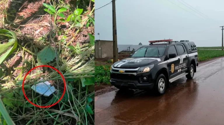 Cinco são presos suspeitos de furtos em usinas solares após polícia encontrar comprovante de aposta perdido