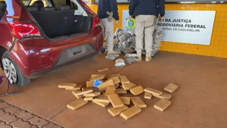 Casal é preso com 122 quilos de maconha na BR-277 em Cascavel