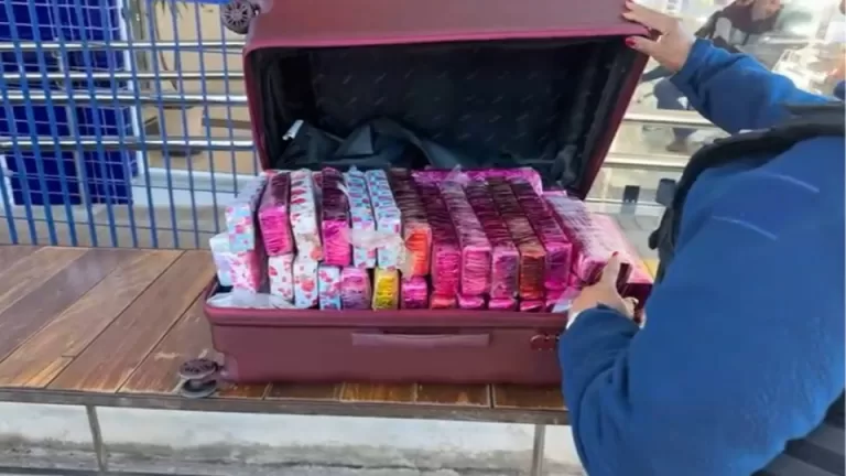 Malas recheadas com maconha são apreendidas na Ponte da Amizade